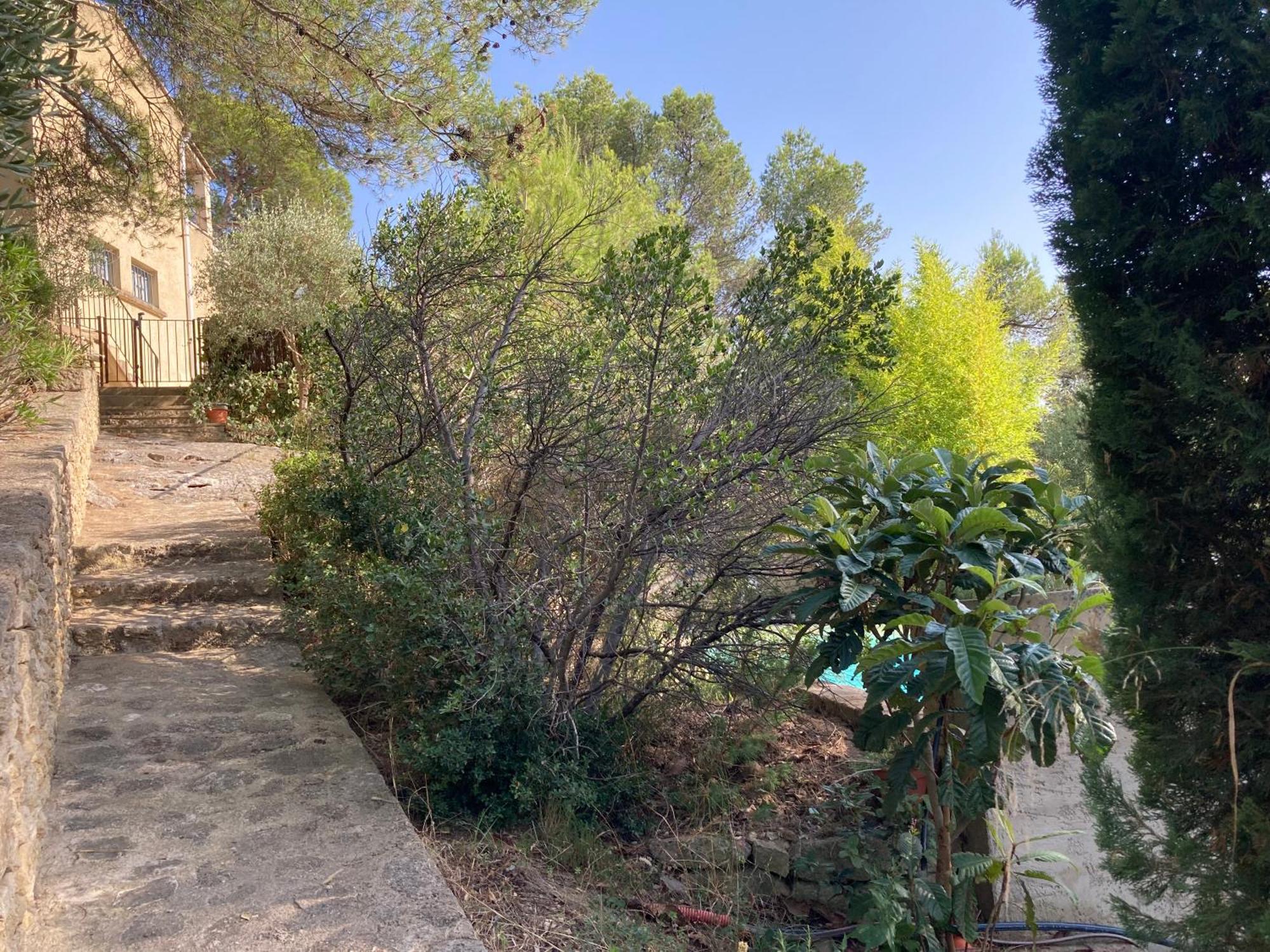 Le Gite Sous Les Pins Les Taillades Екстер'єр фото